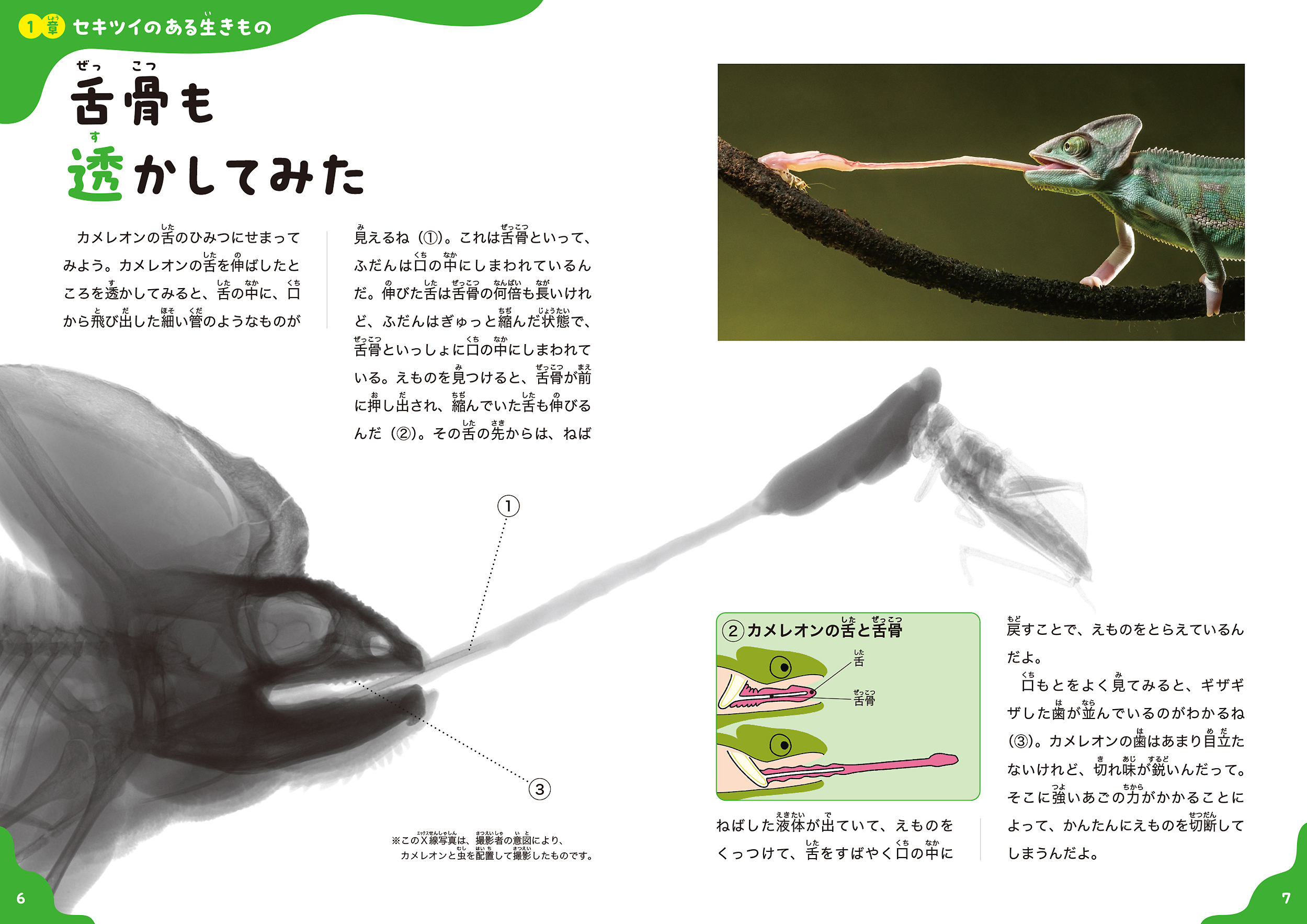 サムネイル画像3