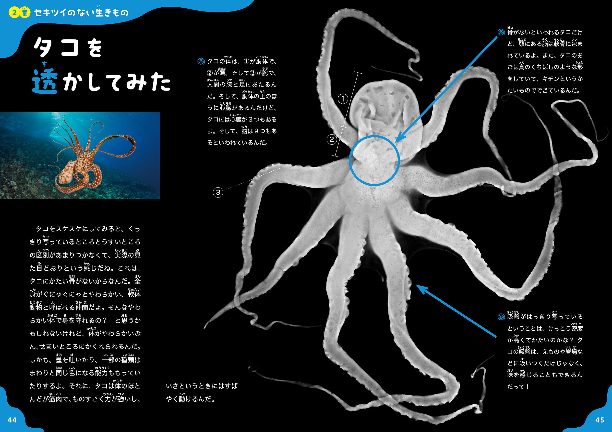 サムネイル画像5