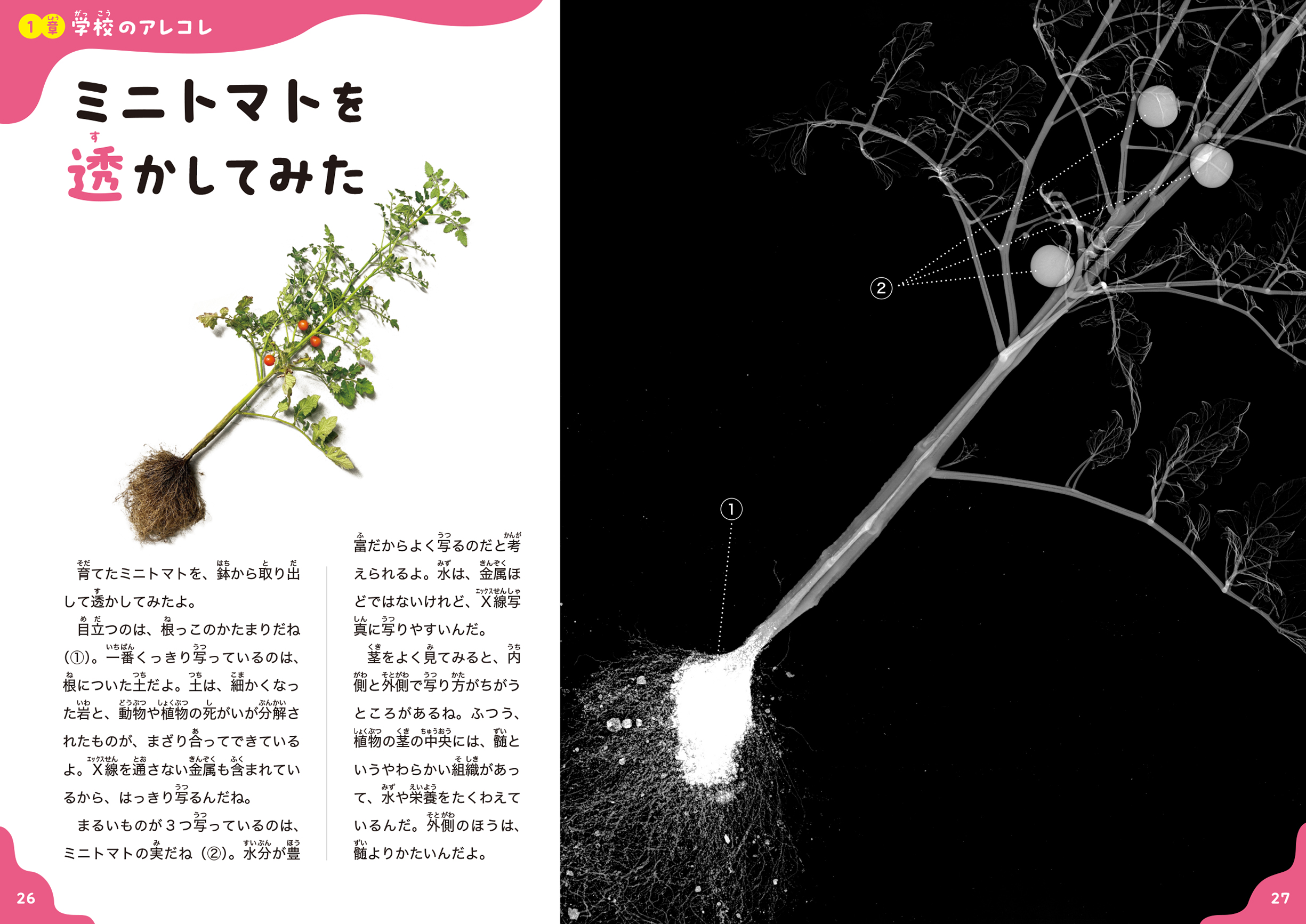 サムネイル画像3