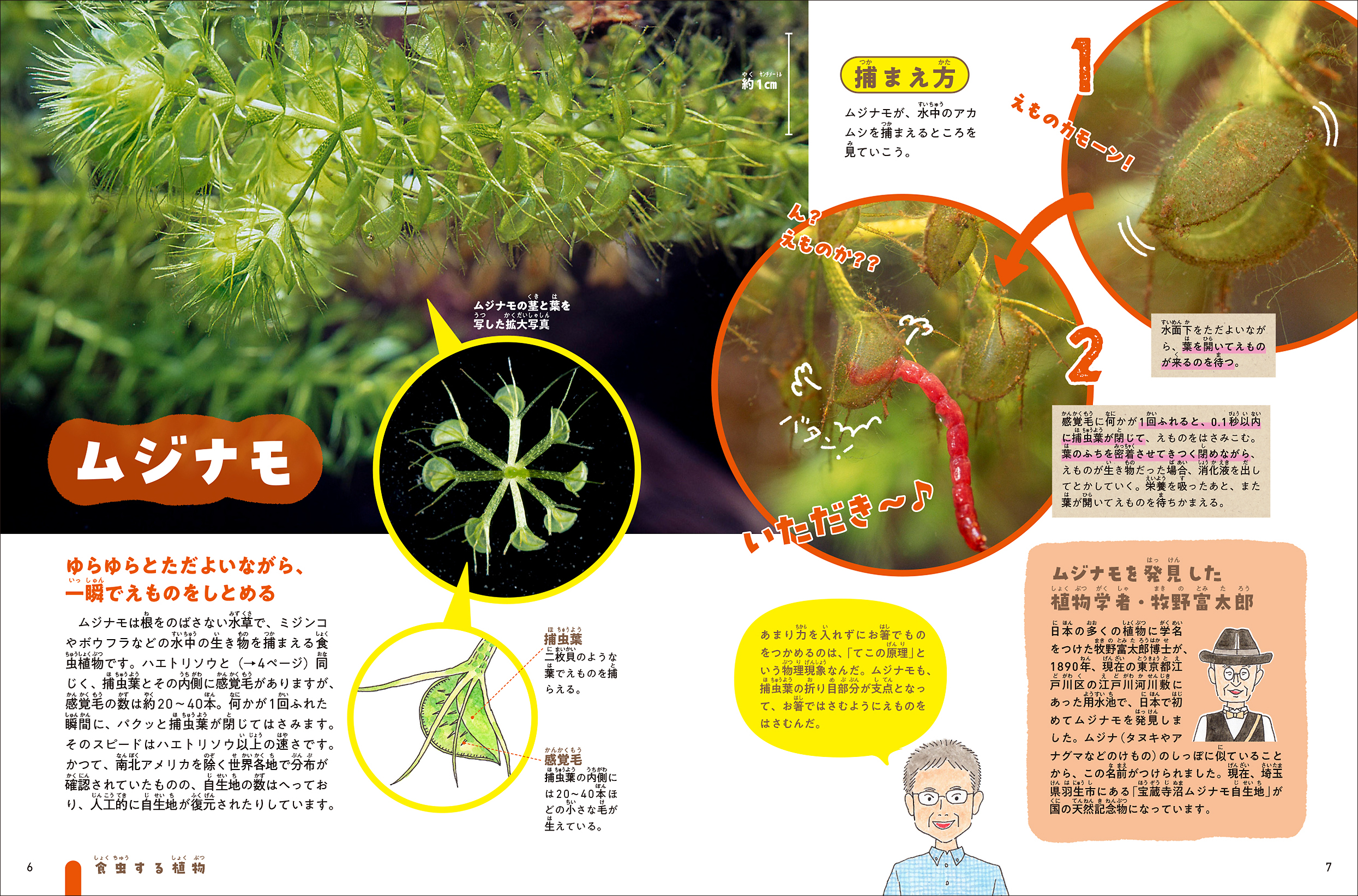 サムネイル画像2