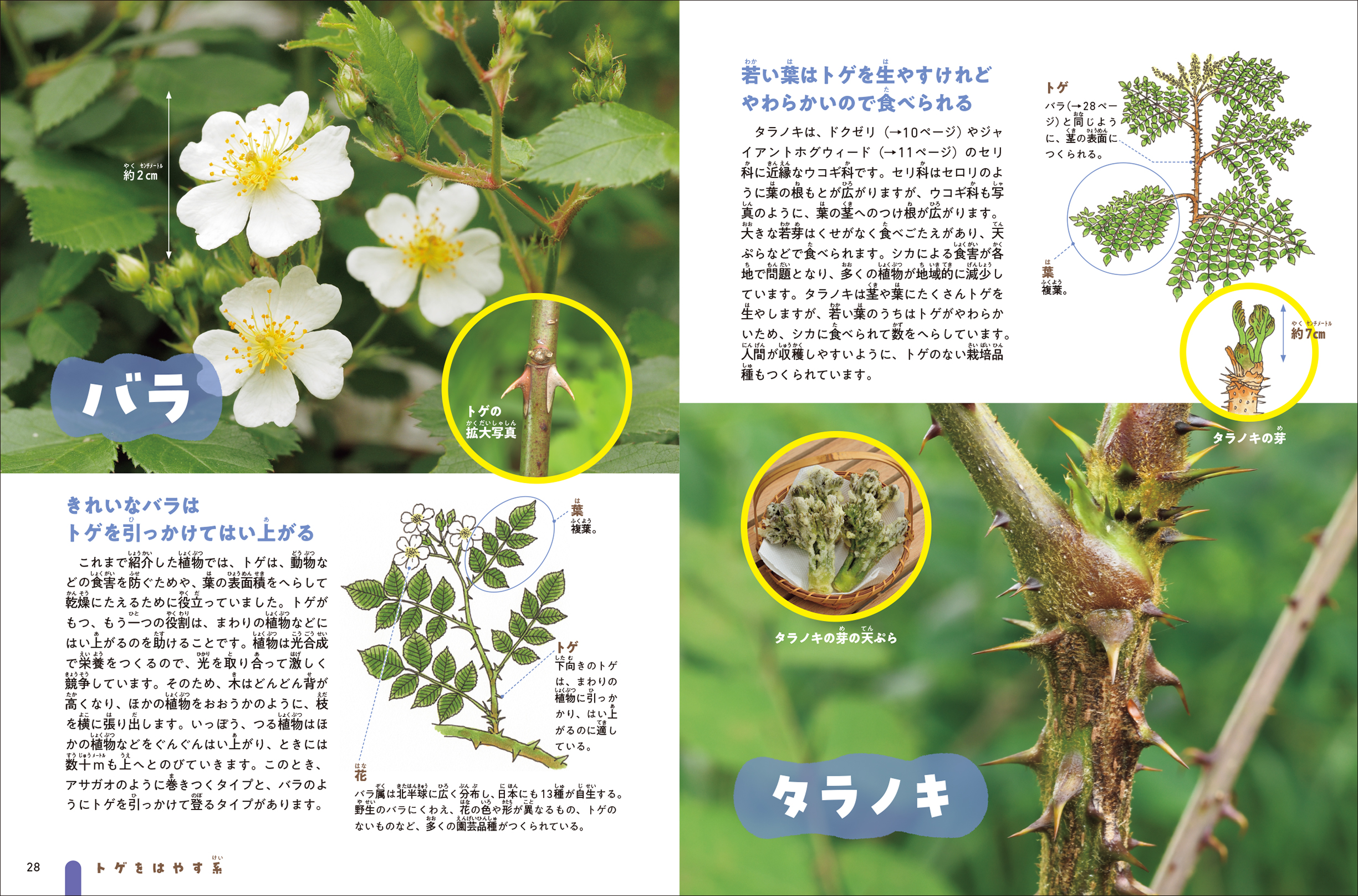 サムネイル画像4