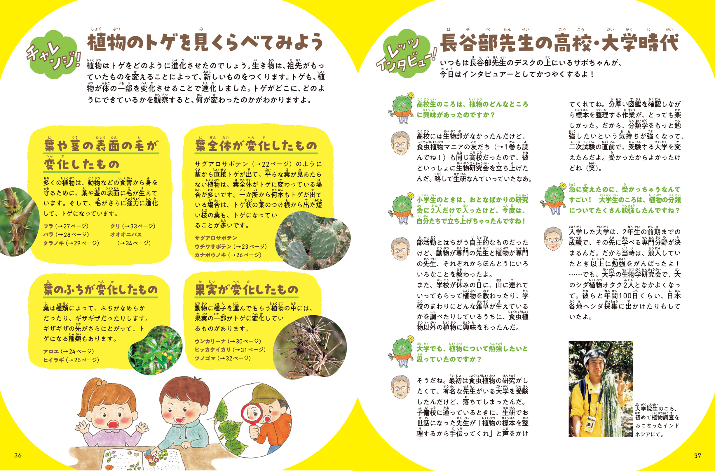 サムネイル画像5