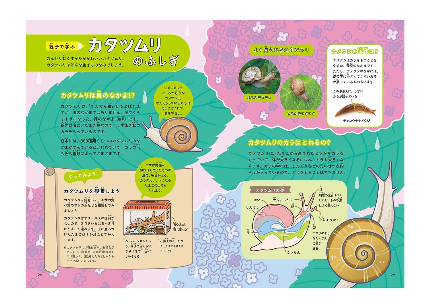 サムネイル画像2