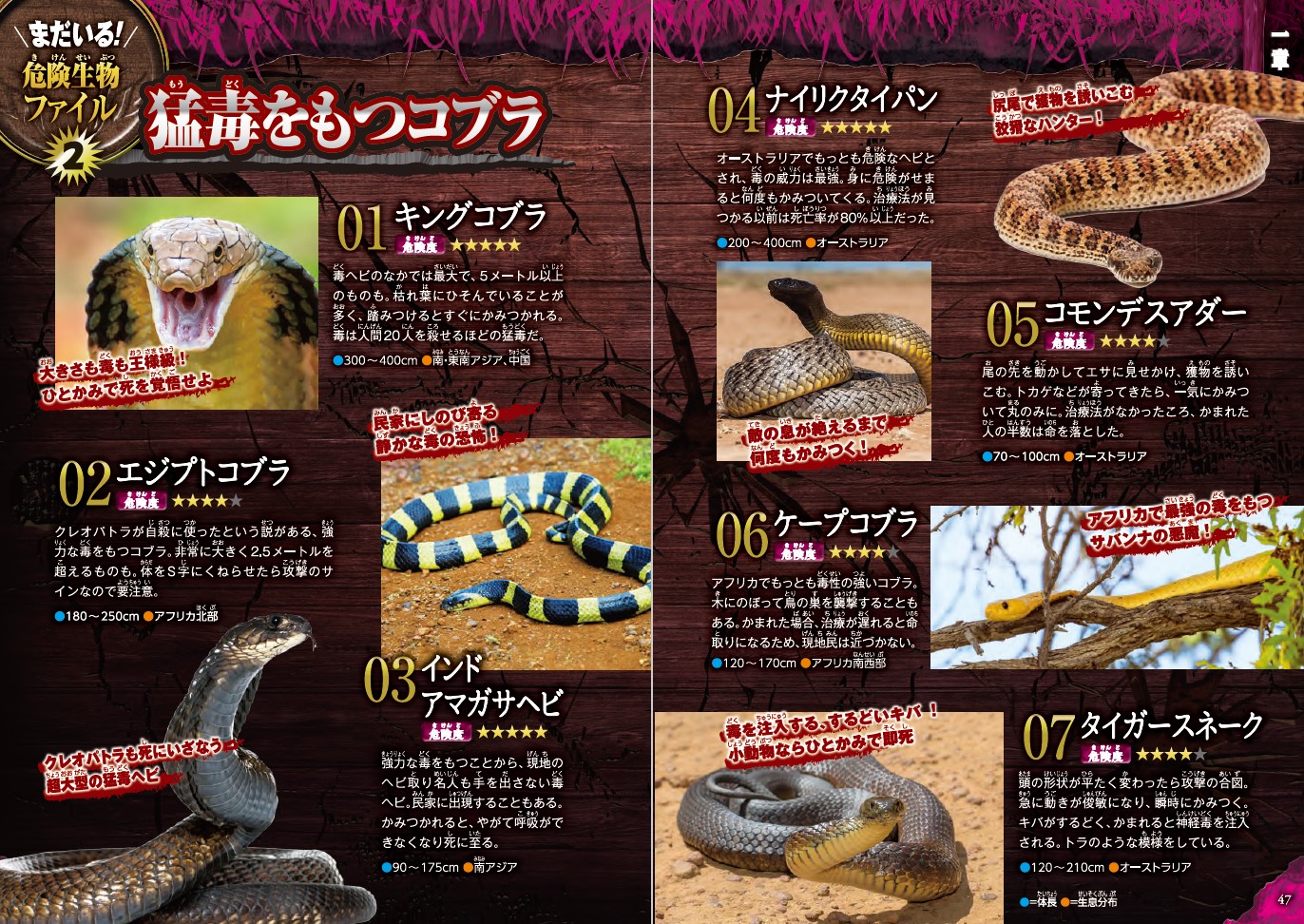サムネイル画像2