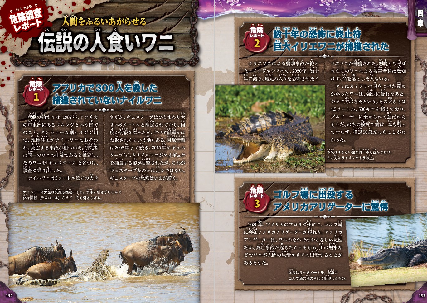 サムネイル画像4