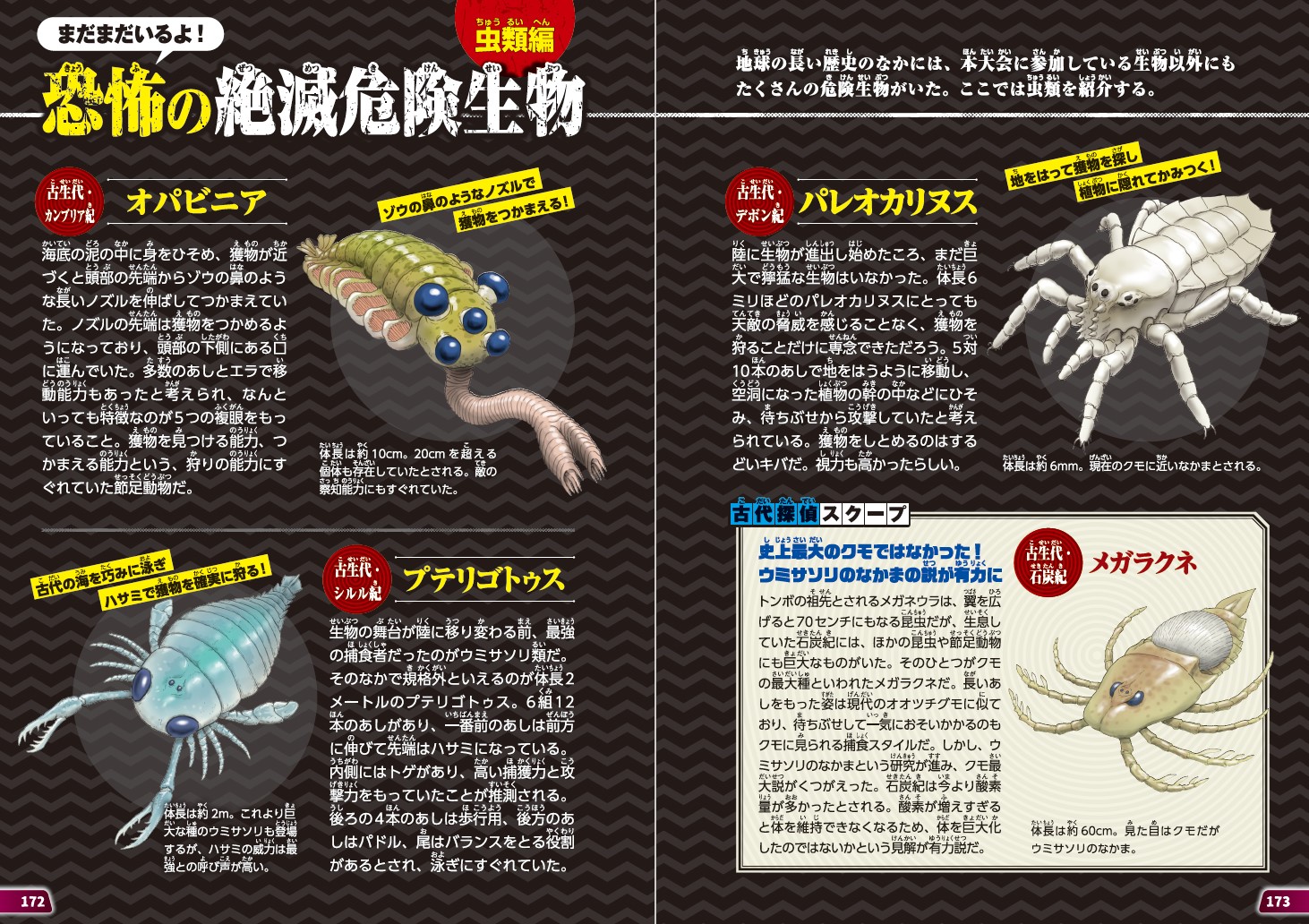 サムネイル画像5