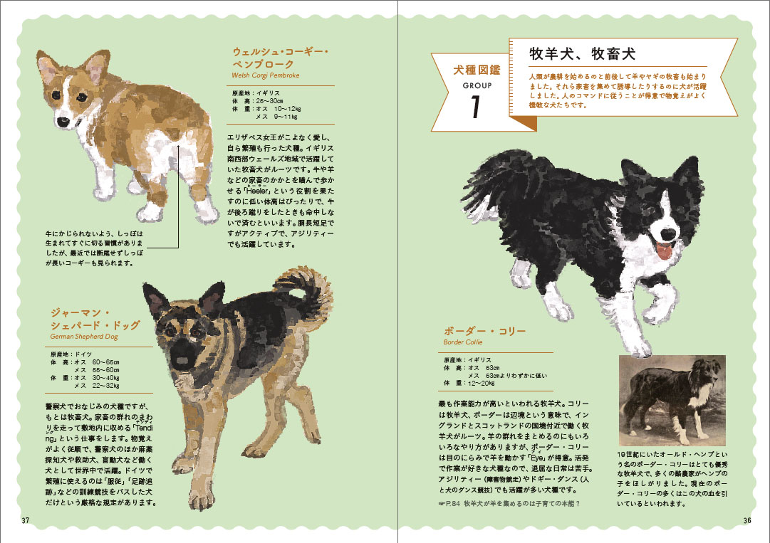 サムネイル画像3