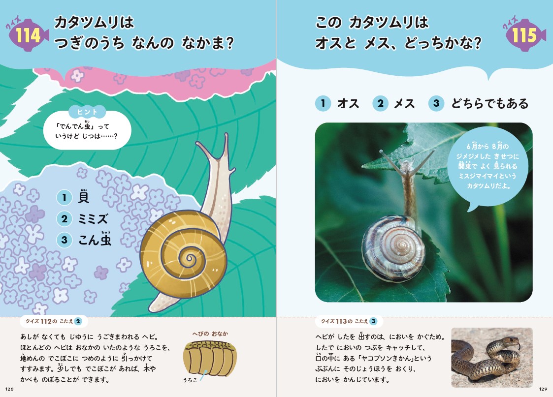 サムネイル画像3