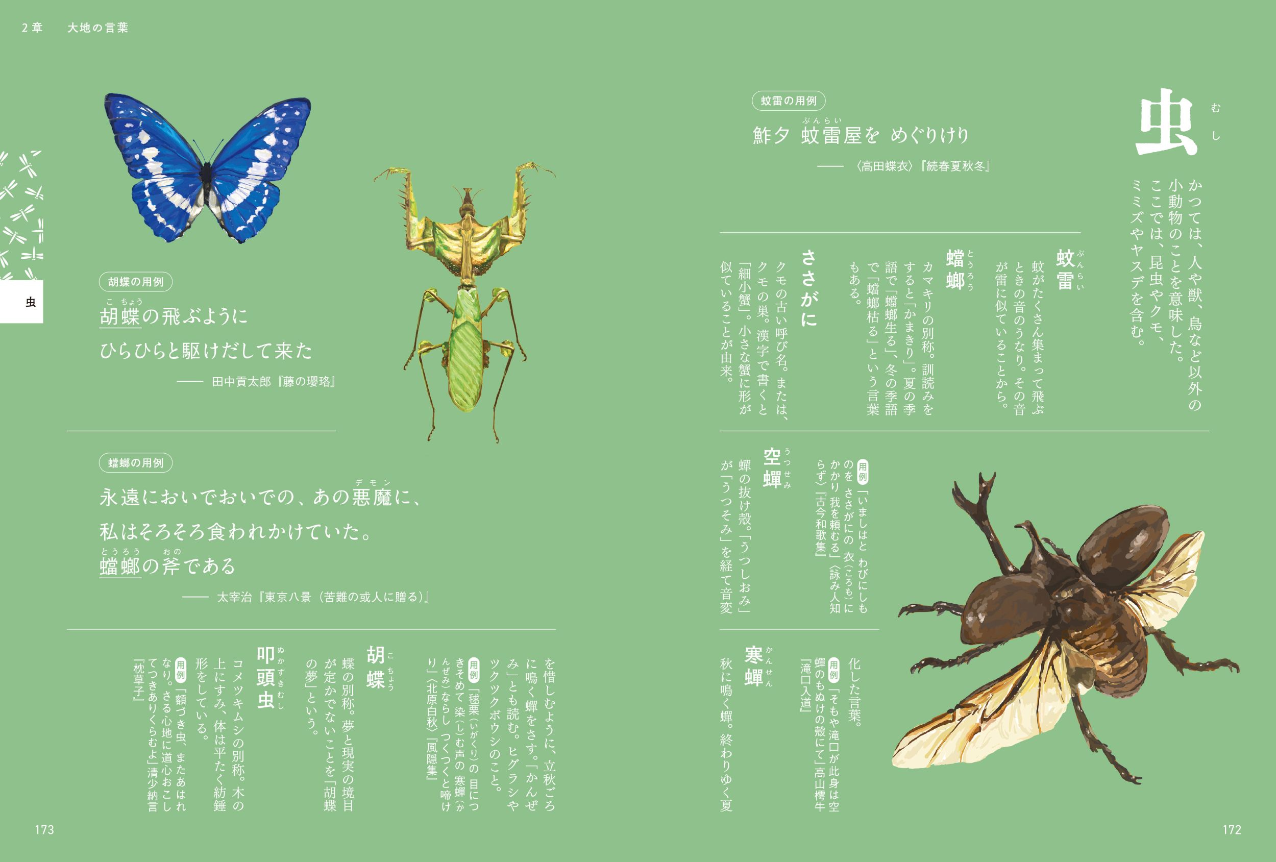サムネイル画像6