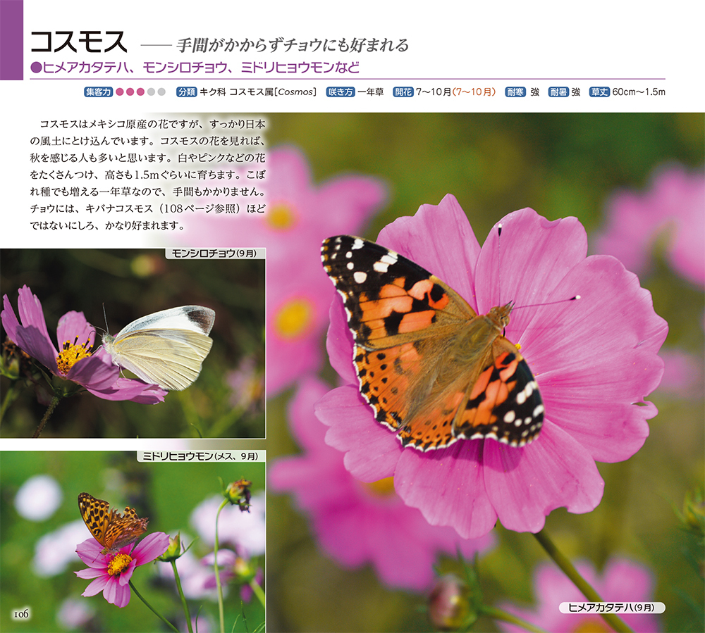 サムネイル画像3