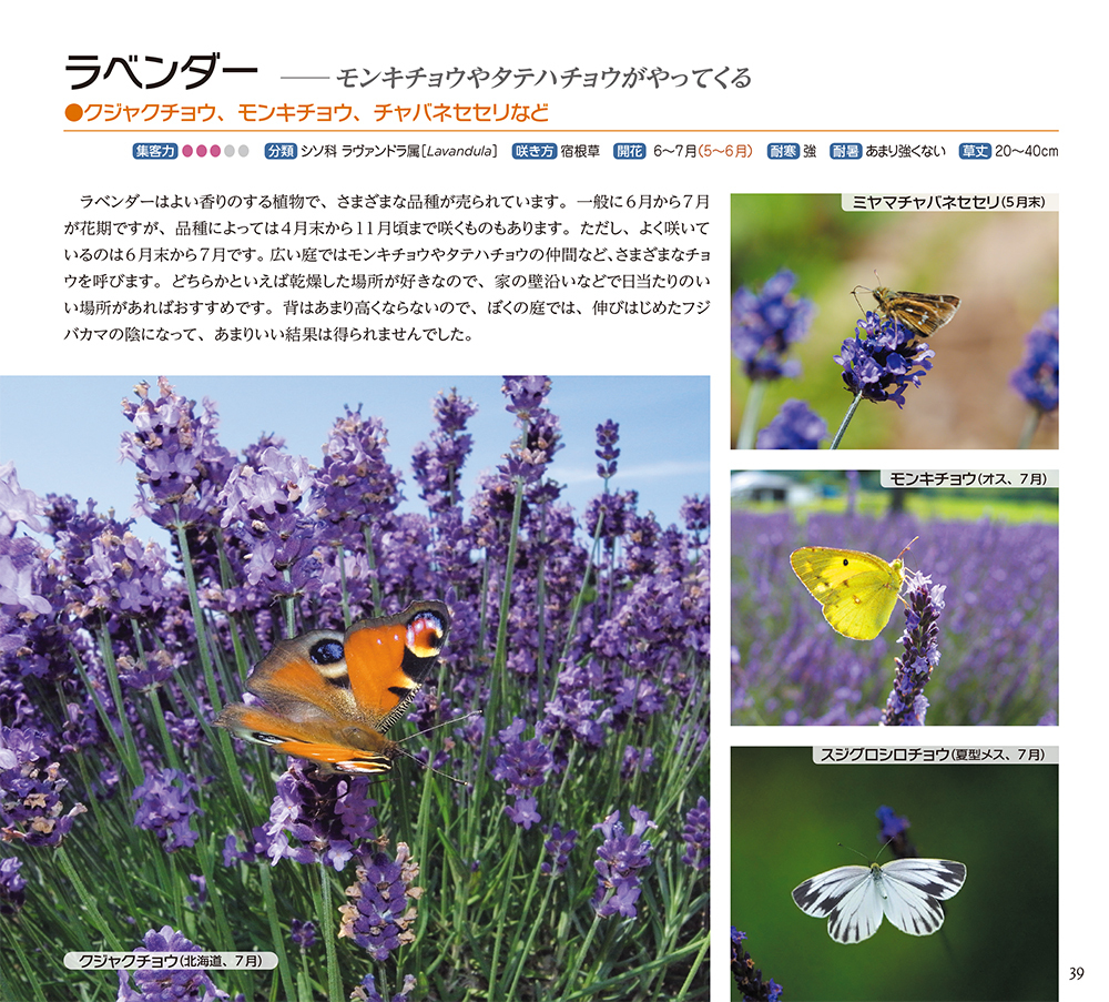 サムネイル画像4