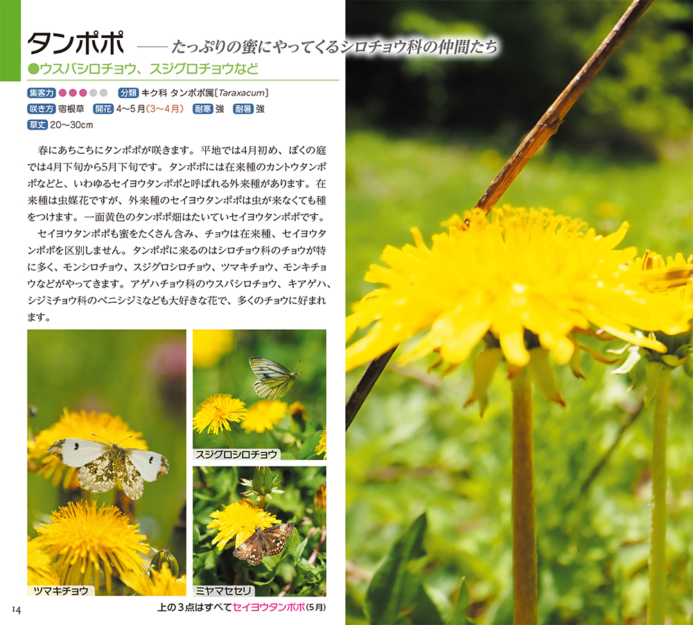 サムネイル画像5