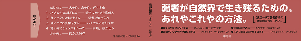 サムネイル画像2