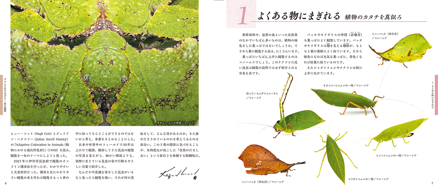 サムネイル画像3