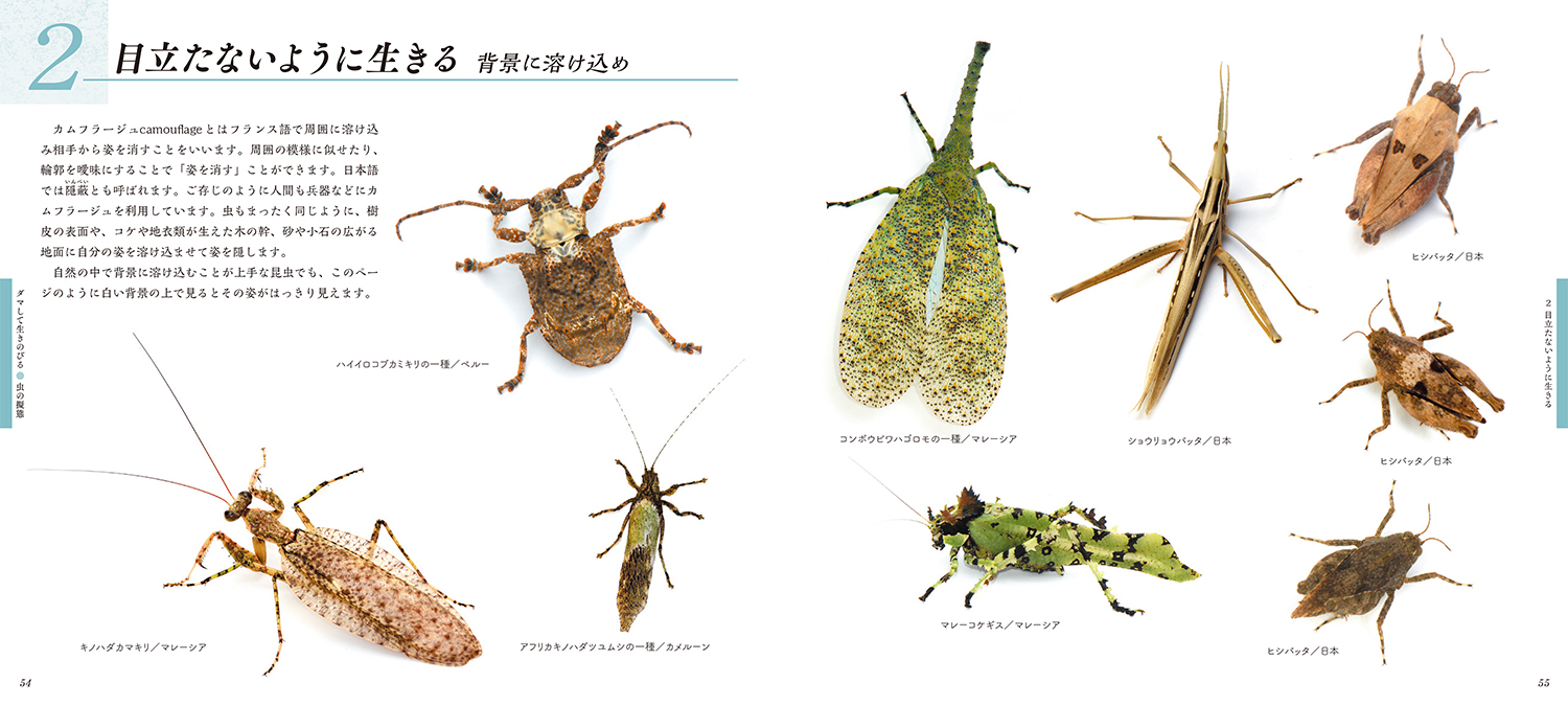 サムネイル画像4