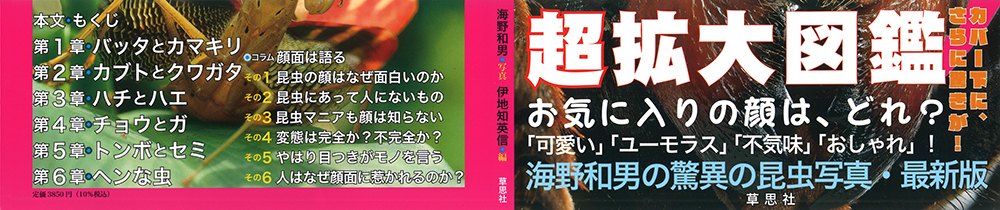 サムネイル画像2