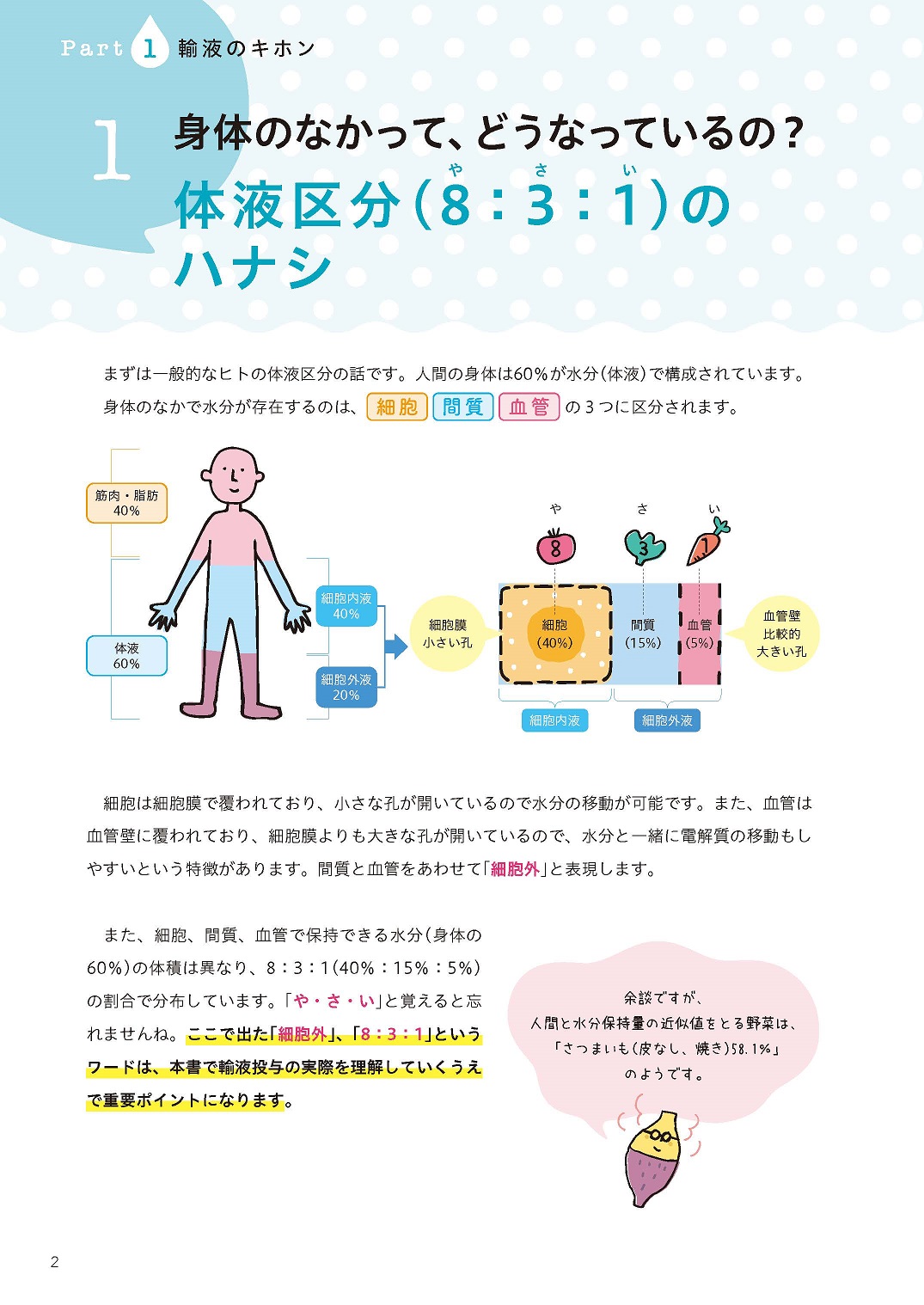 サムネイル画像2