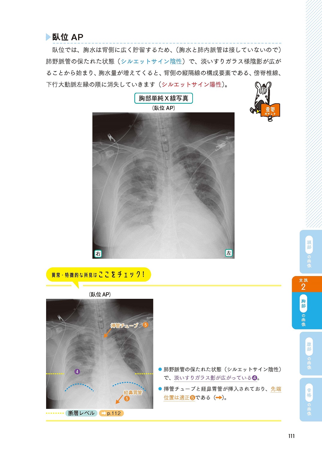 サムネイル画像4