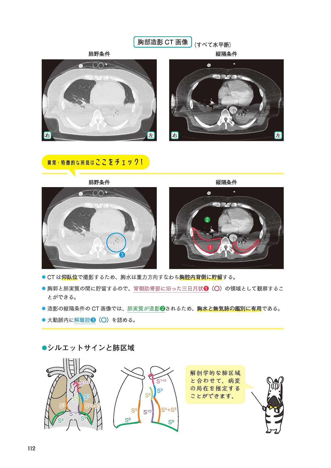 サムネイル画像5