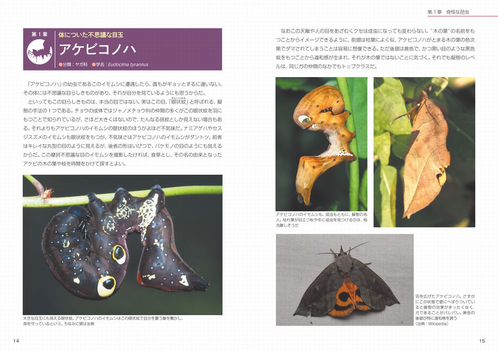 サムネイル画像1