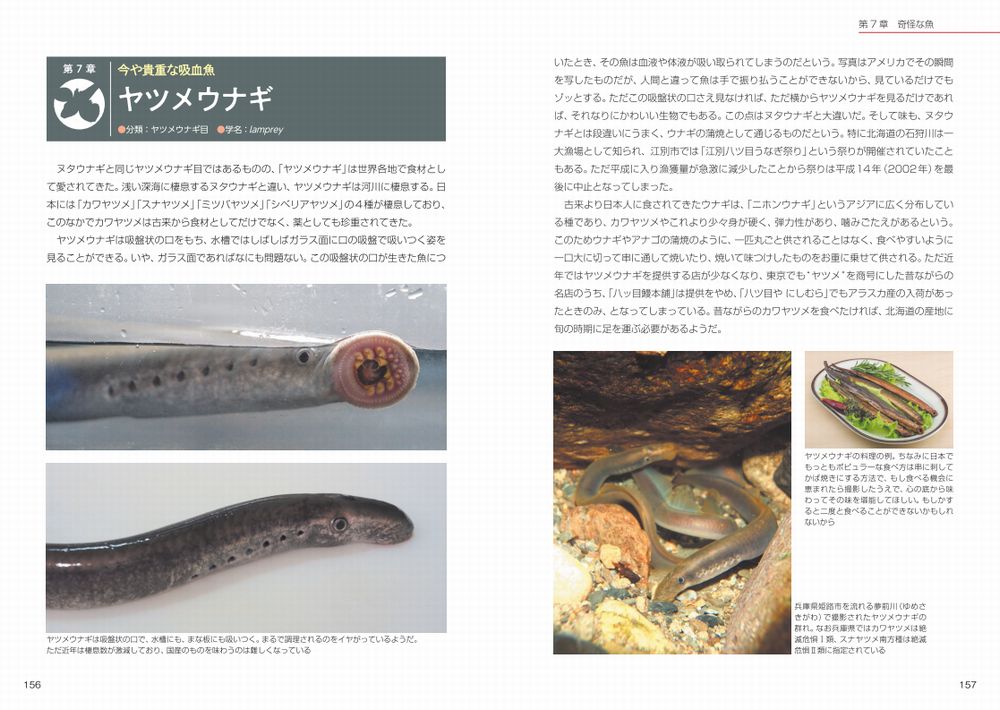 サムネイル画像4
