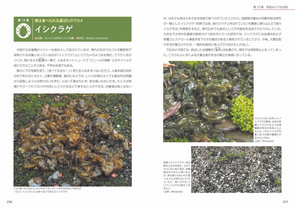 サムネイル画像5
