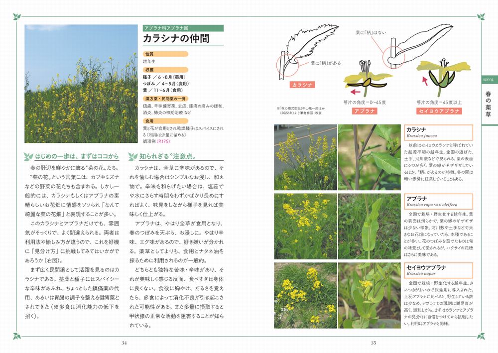 サムネイル画像1