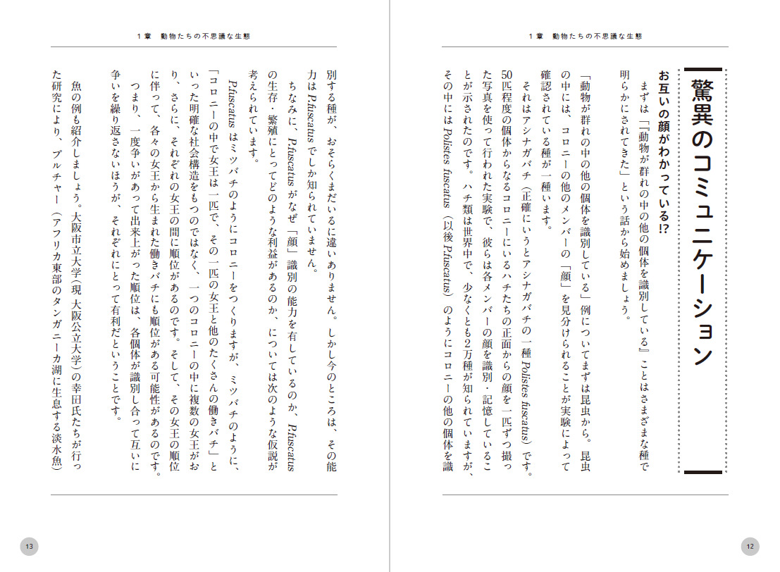 サムネイル画像7