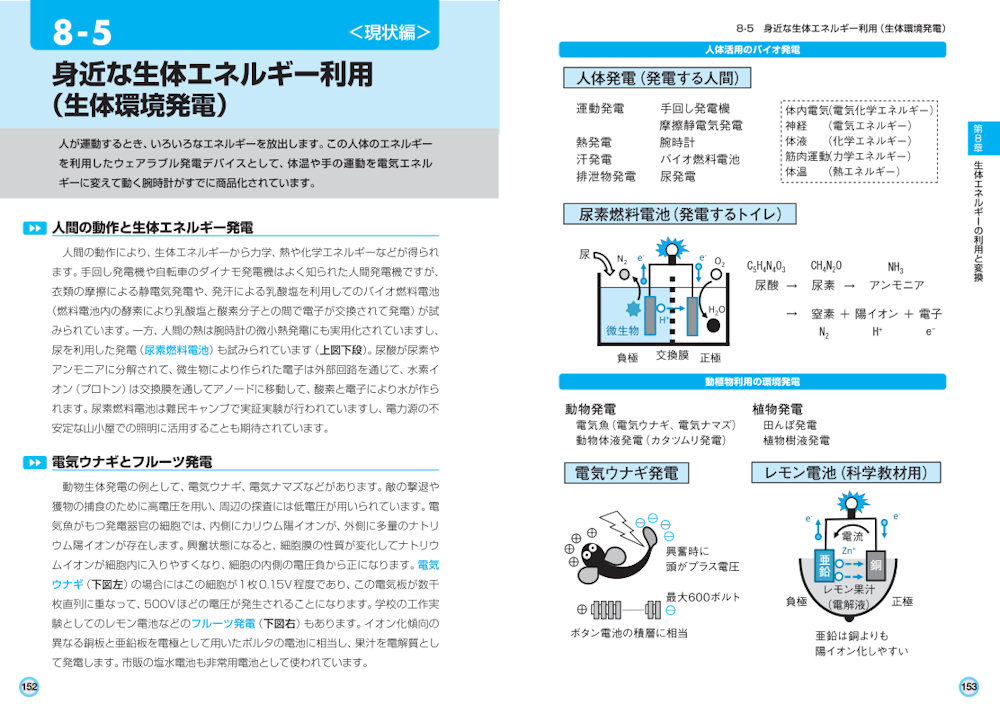 サムネイル画像5