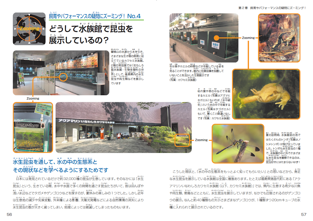 サムネイル画像3