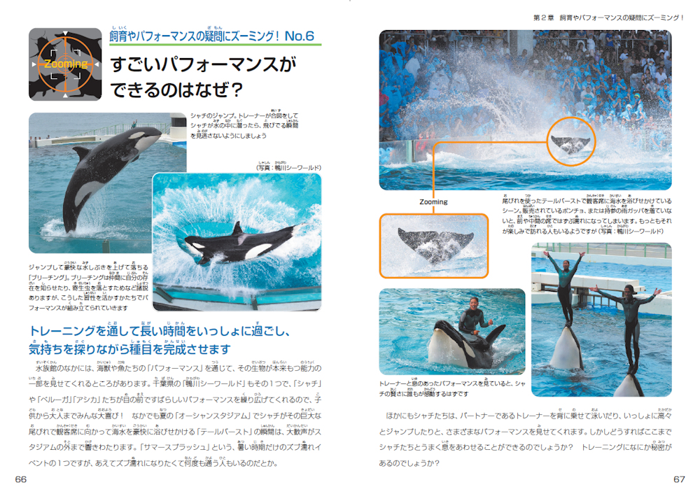 サムネイル画像4
