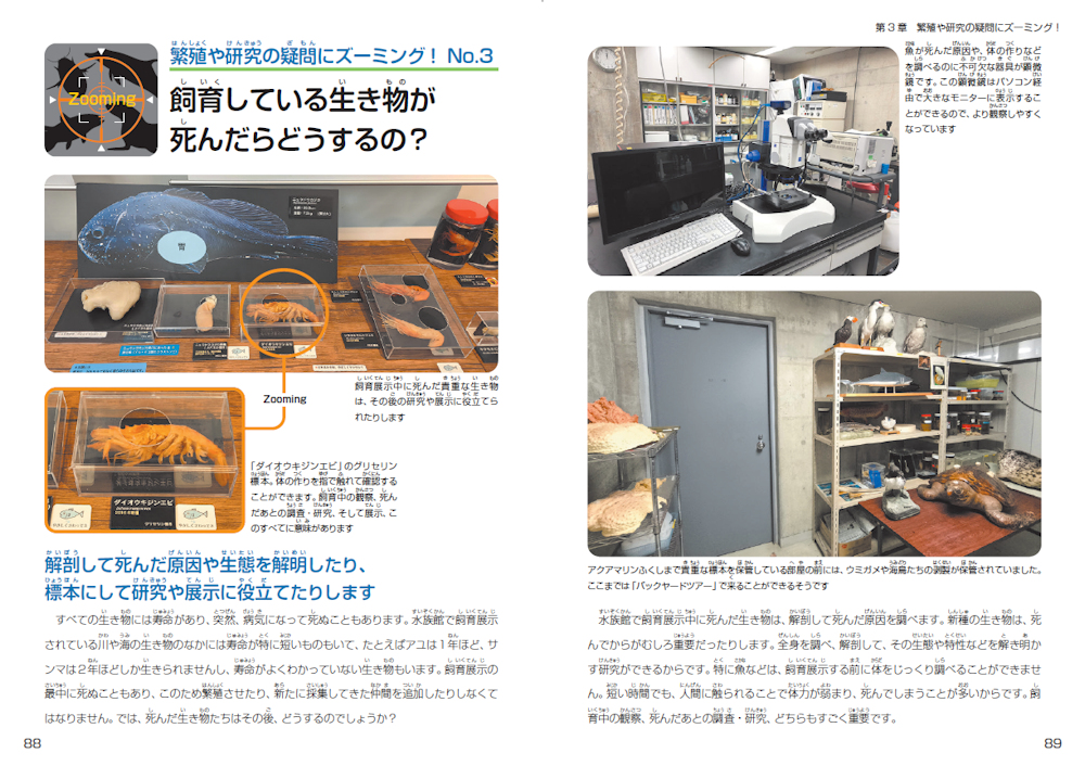 サムネイル画像5