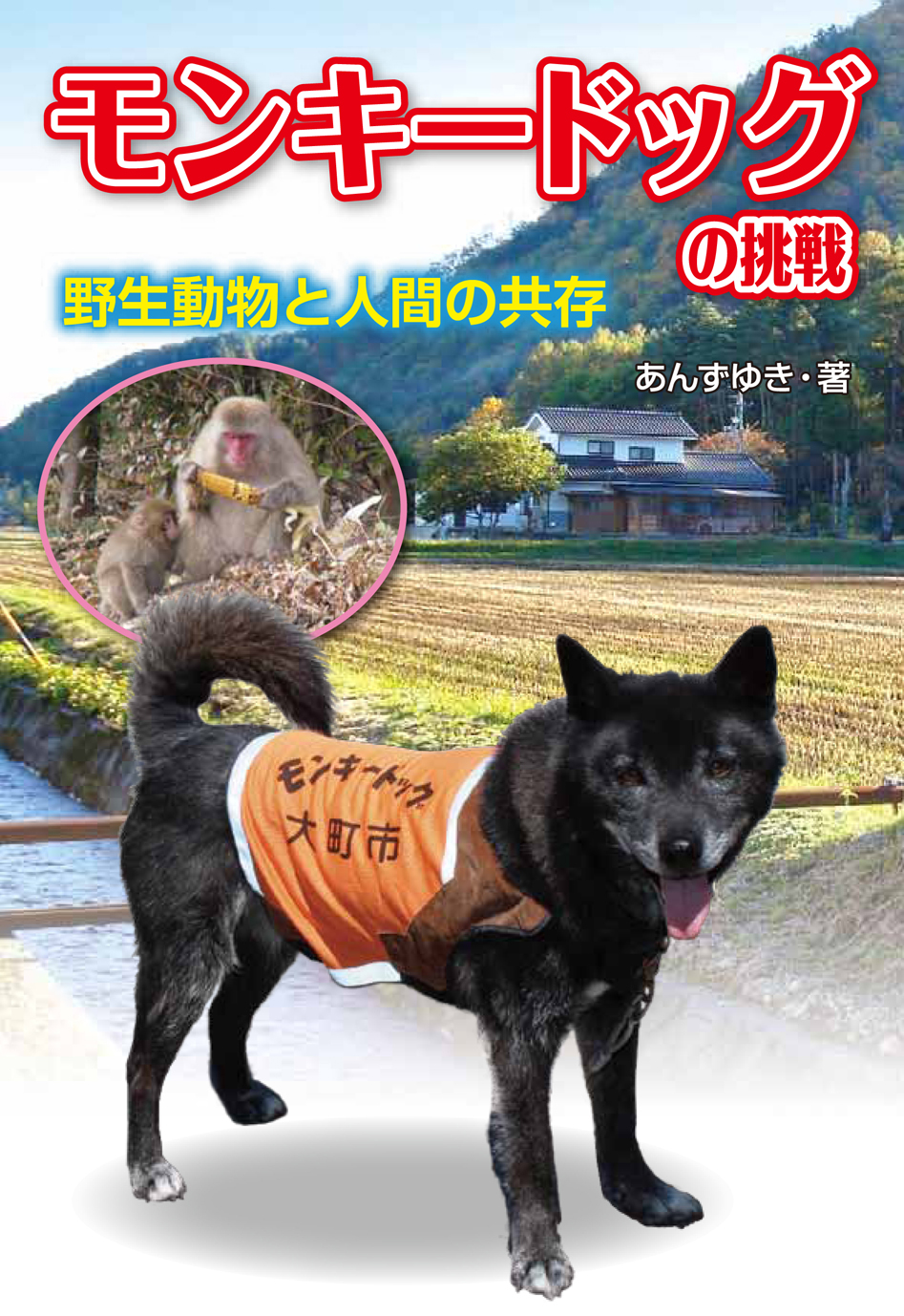 メイン画像
