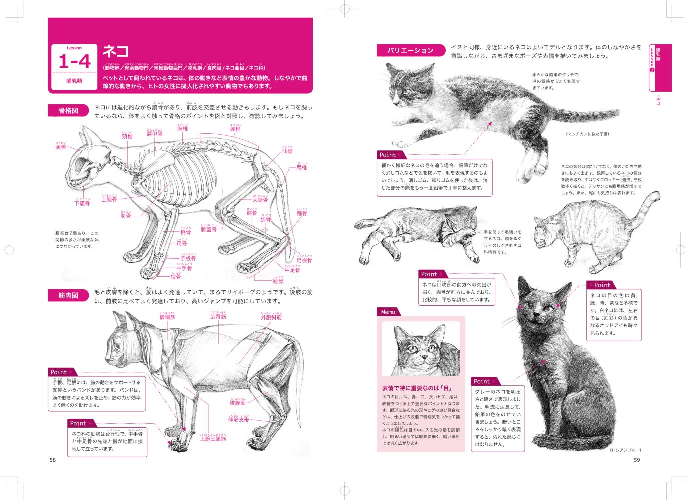 サムネイル画像2
