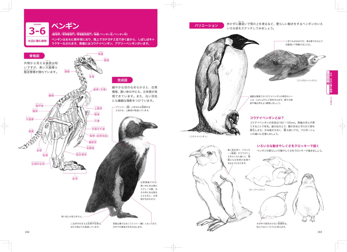 サムネイル画像5