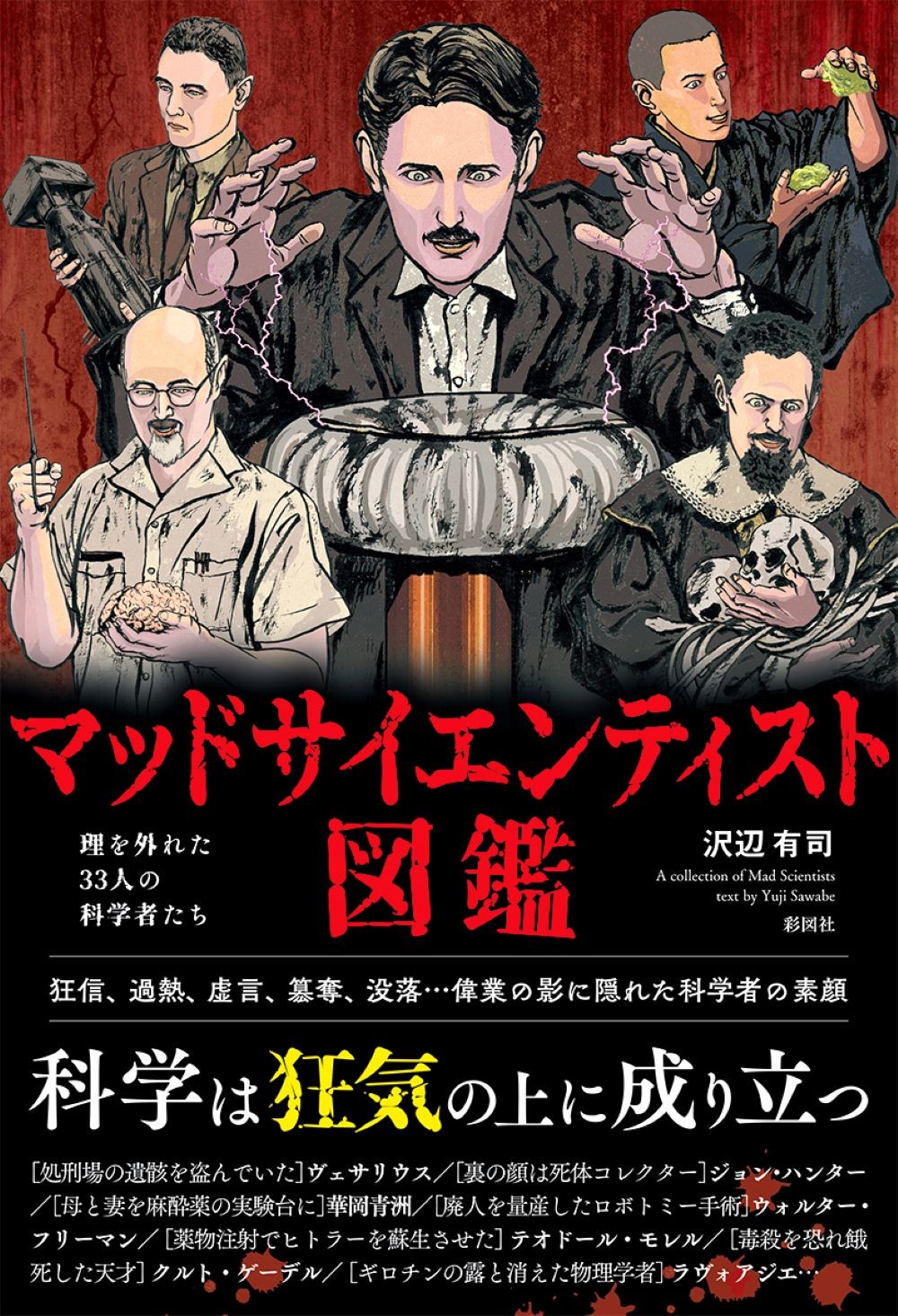 メイン画像