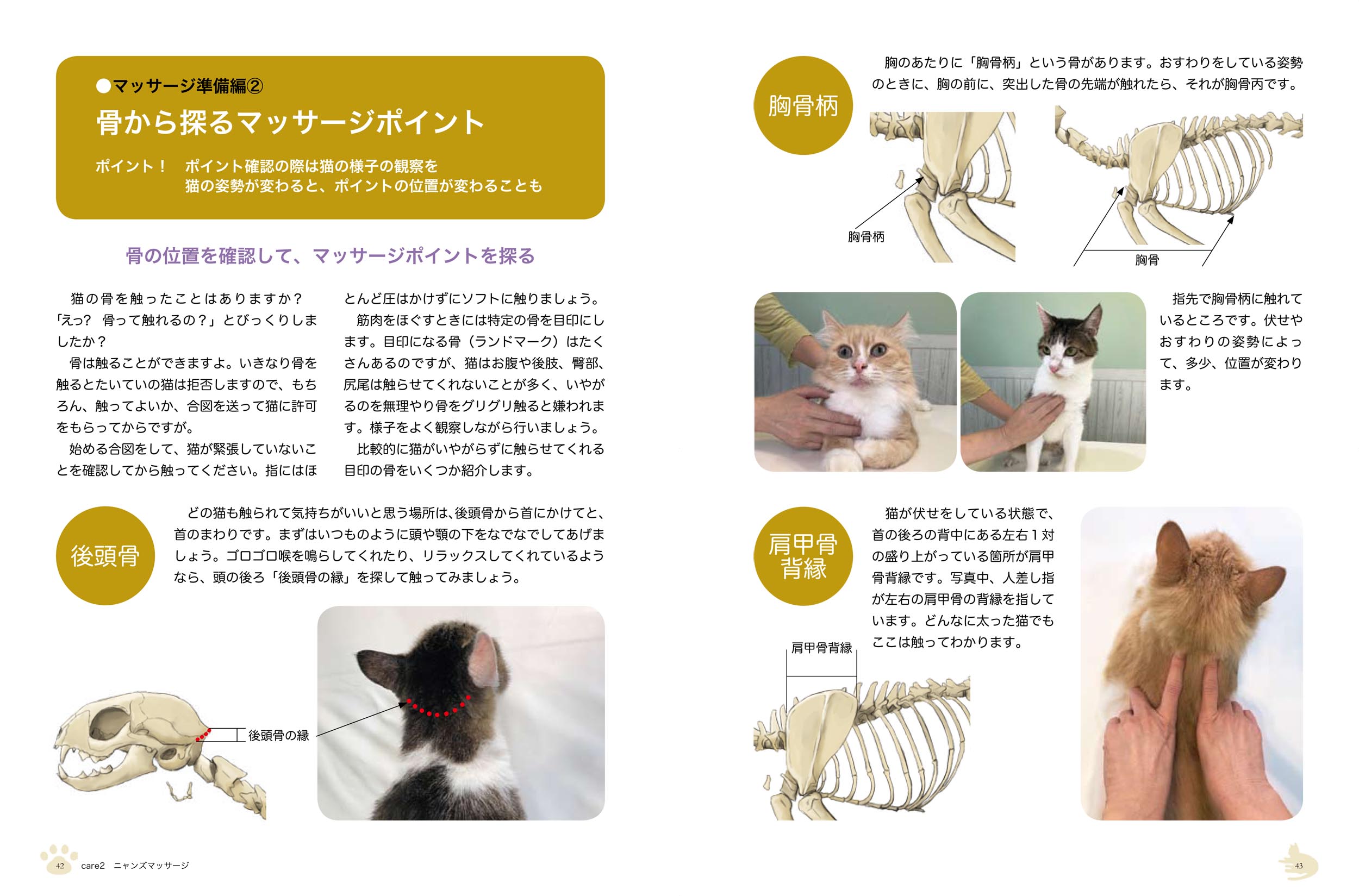 サムネイル画像3