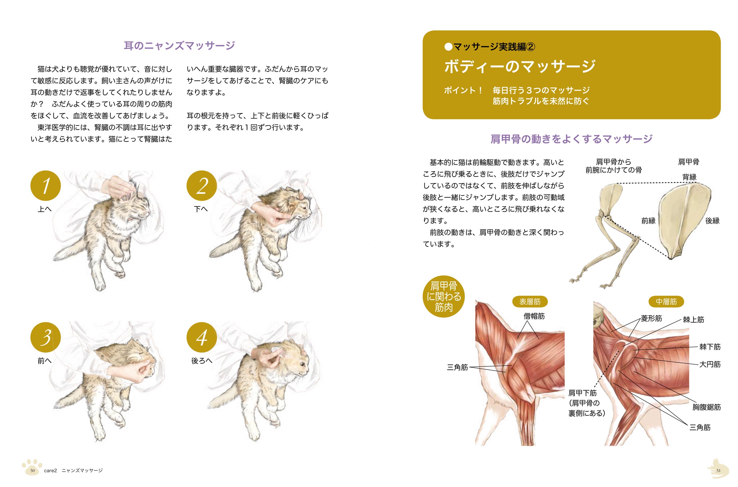サムネイル画像4
