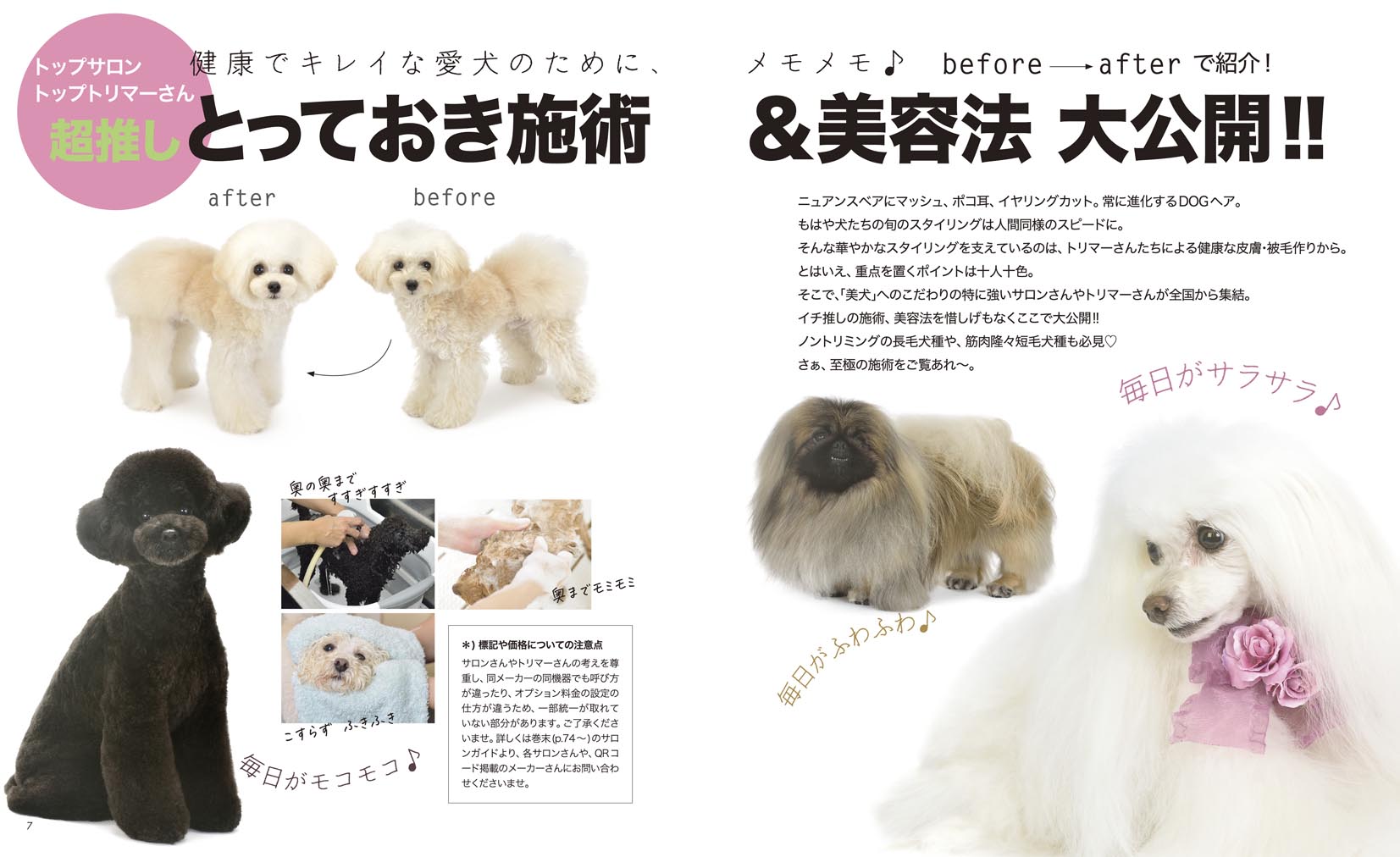 サムネイル画像4