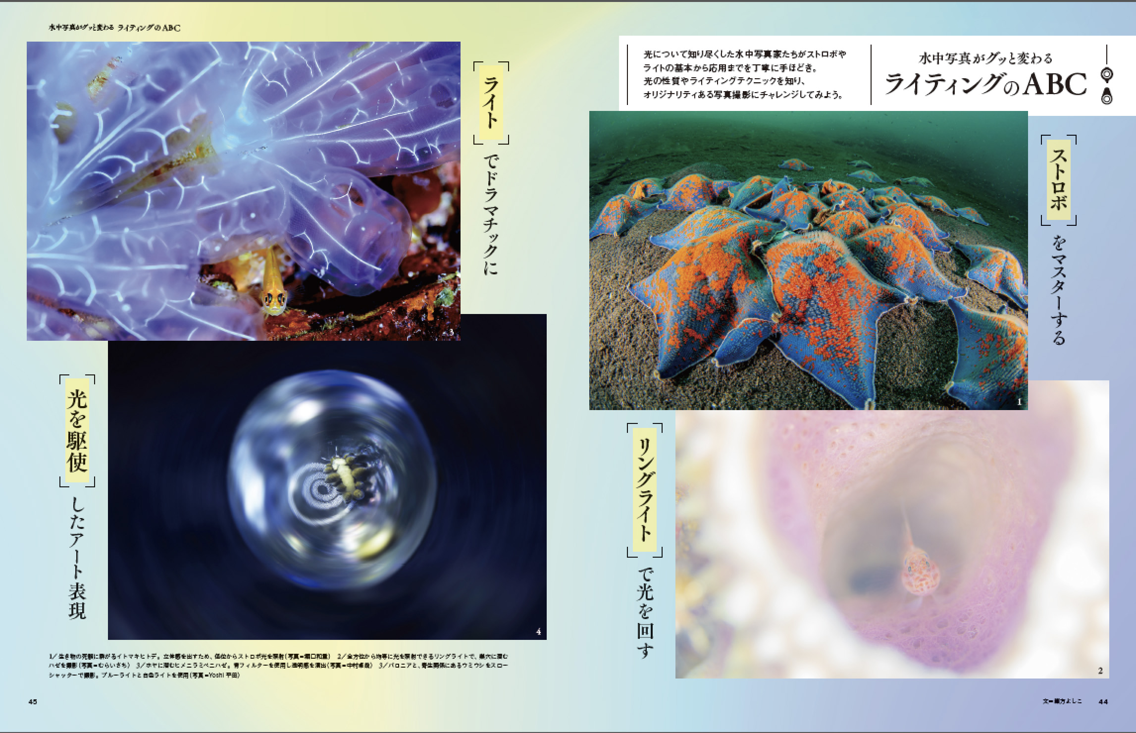 サムネイル画像2