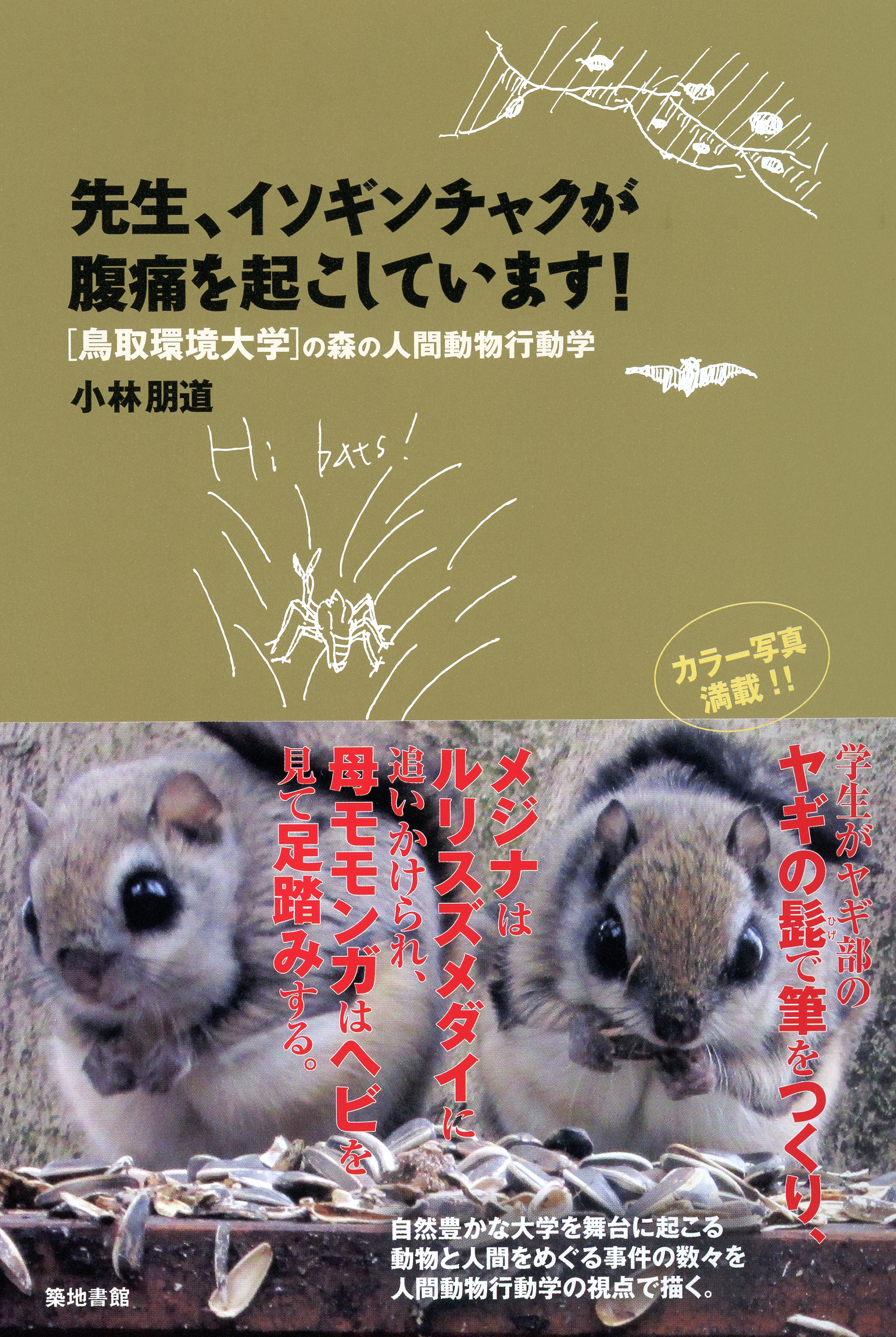 メイン画像