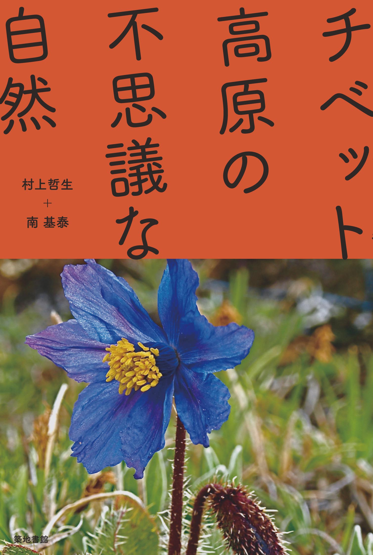 メイン画像