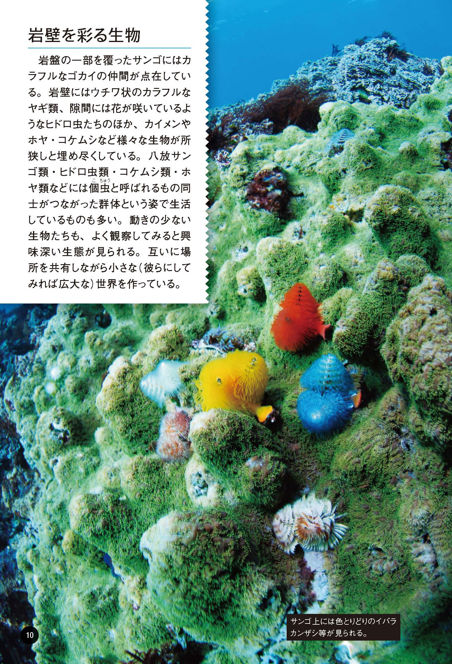 サムネイル画像3