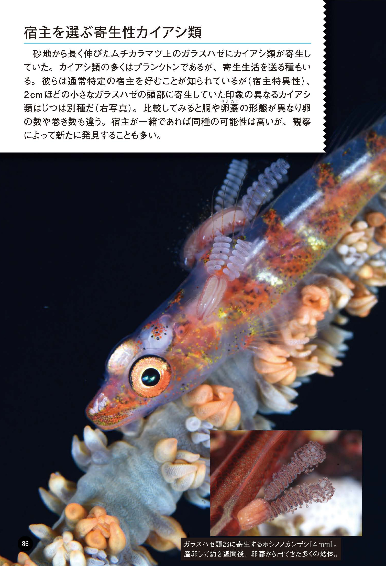 サムネイル画像5