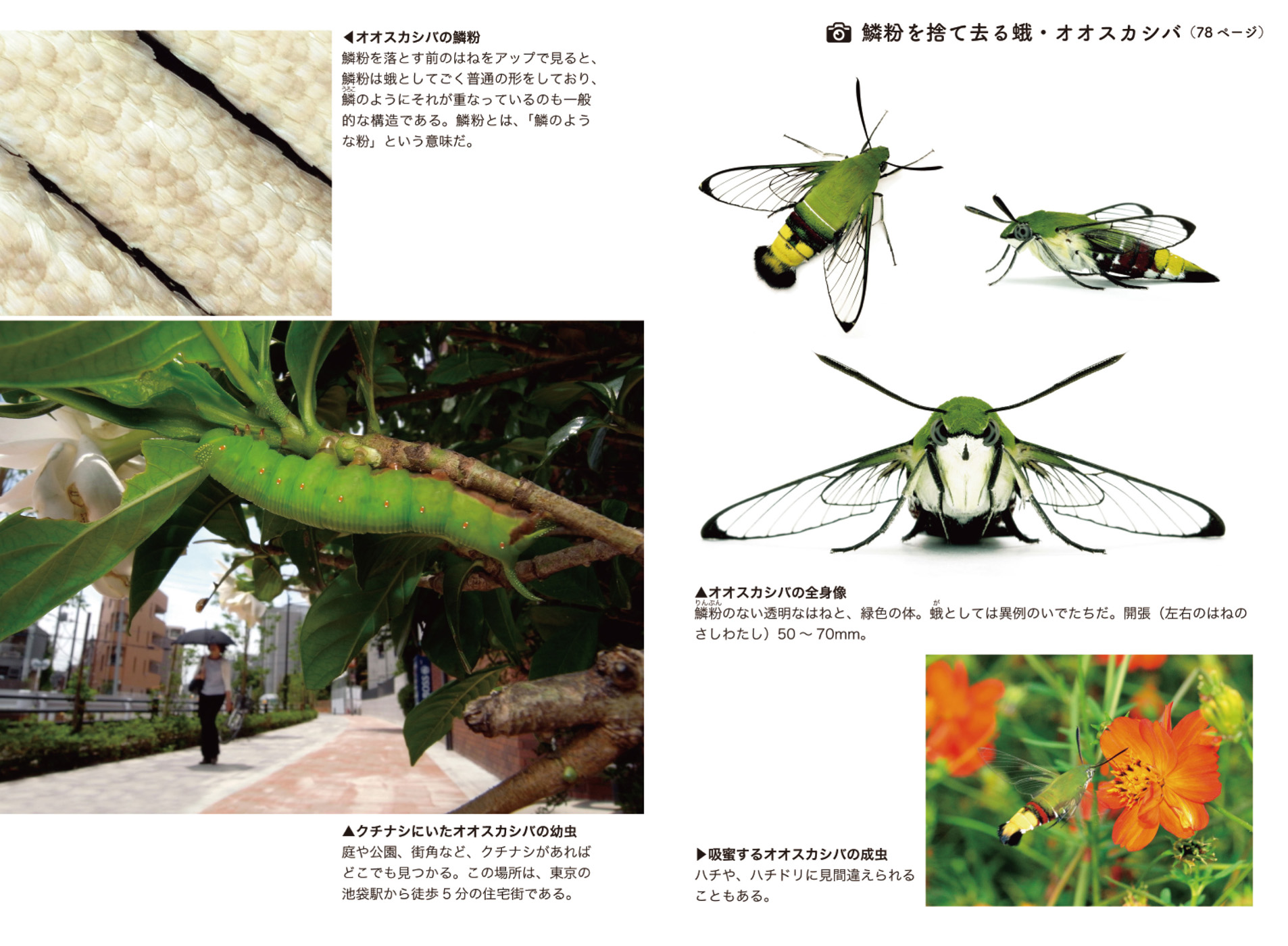 サムネイル画像1