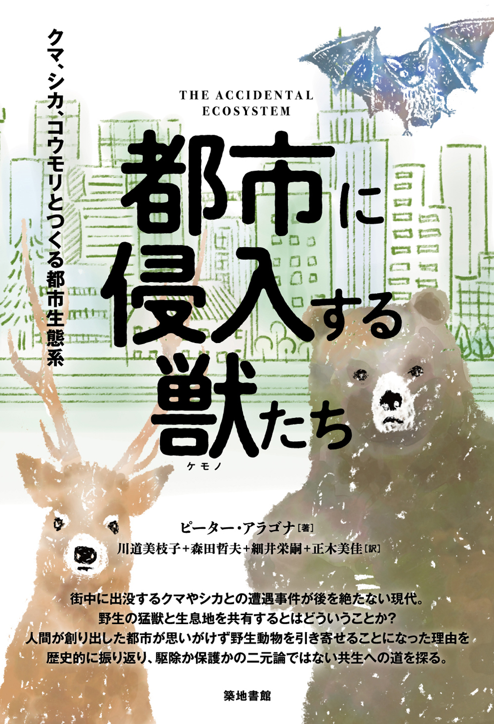 メイン画像