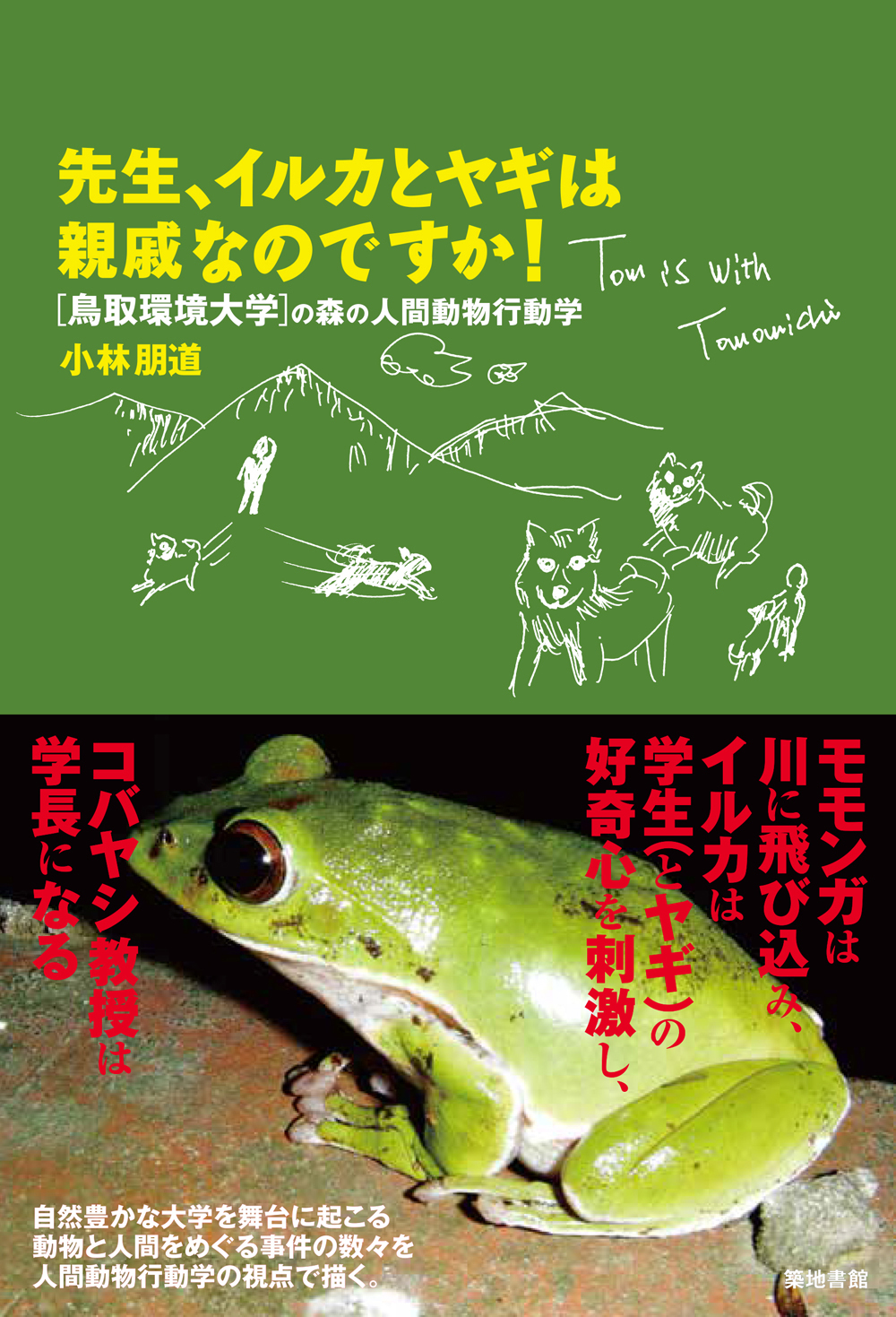 メイン画像