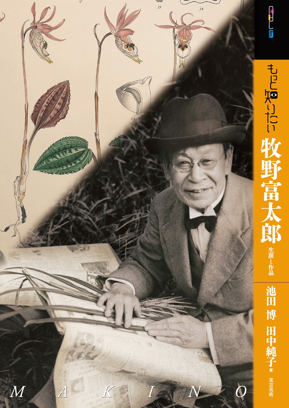 メイン画像