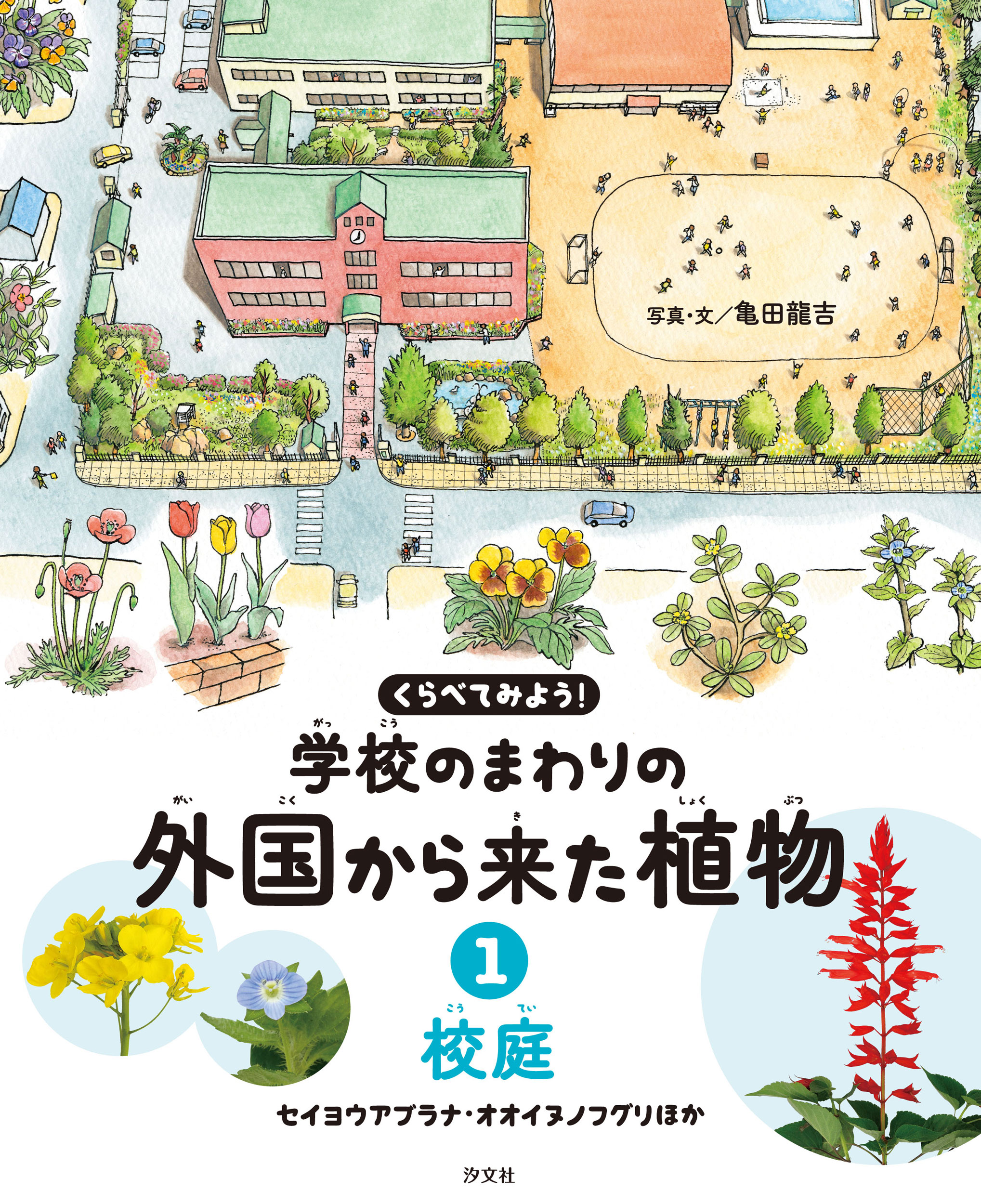 メイン画像