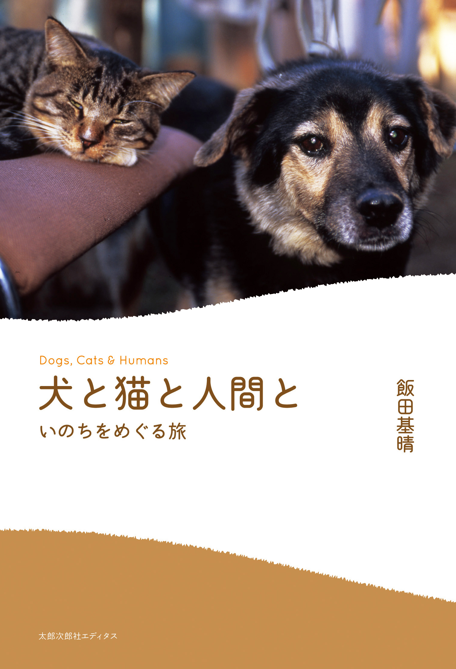 メイン画像